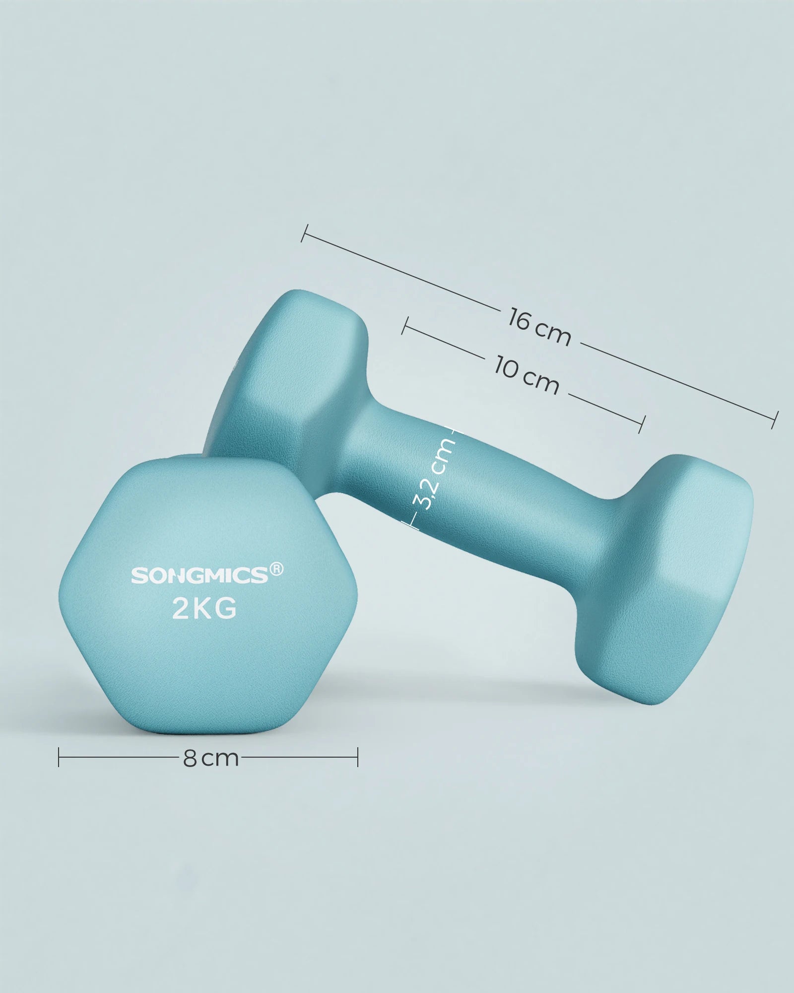 Lot de 2 haltères hexagonaux 2 x 2 kg bleu clair